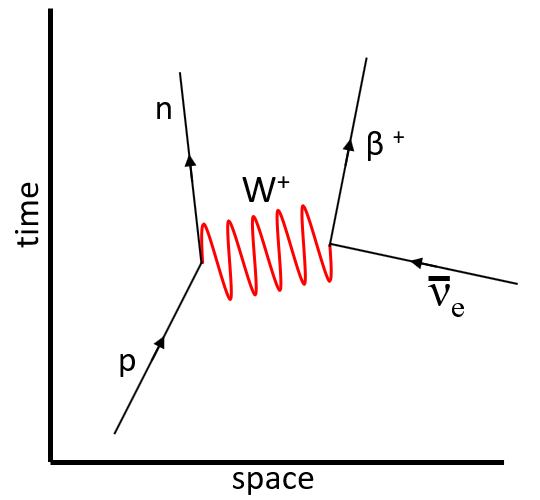 File:FeynmanDiagramProtonAntielectronneutrino.png