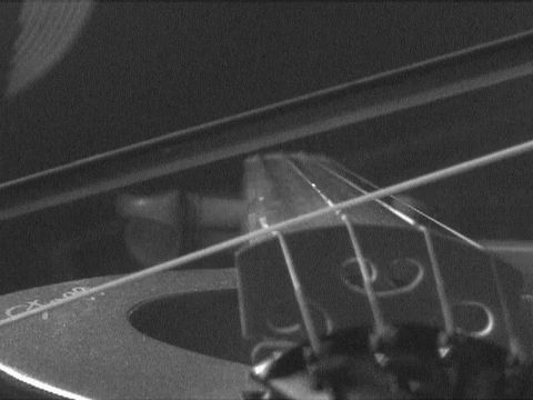 ViolinVibration.gif