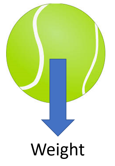 File:WeightTennisBall.png