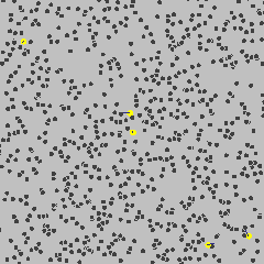 Brownianmotion.gif