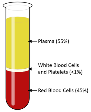 BloodConstituents.png