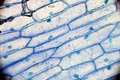 Thumbnail for version as of 16:19, 4 September 2018