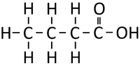 StructuralDiagramButanoicAcid.png