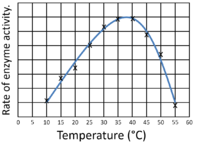 ScatterGraphCurve2.png