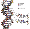 Thumbnail for version as of 09:43, 5 June 2019