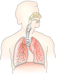 BreathingSystem.png