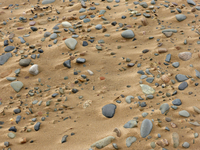 PebblesandSand.png