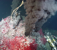 HydrothermalVent.png