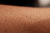 Skin.png