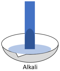 BlueLitmusAlkali.png