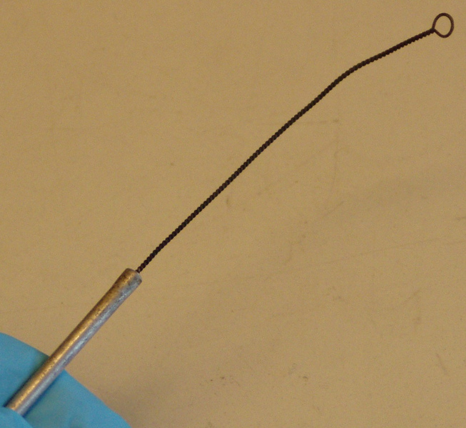 File:InoculationLoop.png