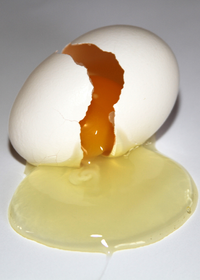 EggBroken.png