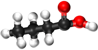 BallandStickButanoicAcid.png