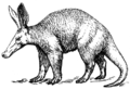 Thumbnail for version as of 19:07, 25 April 2019