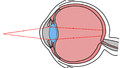 Thumbnail for version as of 17:21, 24 June 2019