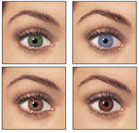EyeColour.png