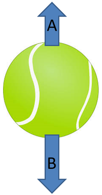 TennisBallForces.png