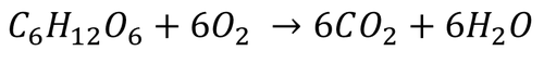 AerobicRespirationBalancedSymbolEquation.png