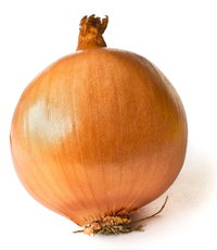 Onion.png