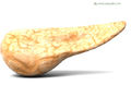 Thumbnail for version as of 14:38, 10 September 2018