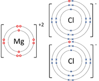 MagnesiumChlorideDotandCrossDiagram.png