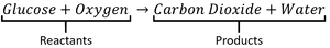 AerobicRespirationWordEquation.png