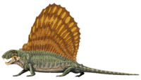 Dimetrodon.png
