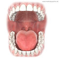 Thumbnail for version as of 14:35, 10 September 2018