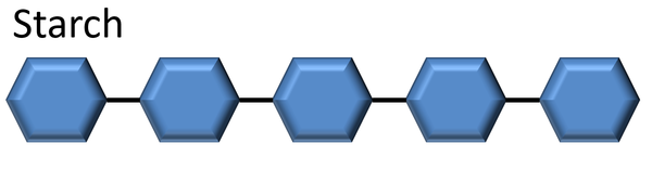 StarchMolecule.png