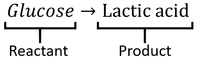 AnaerobicRespirationWordEquation.png