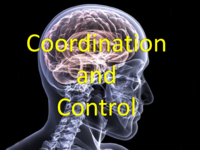 CoordinationandControlLogo.png