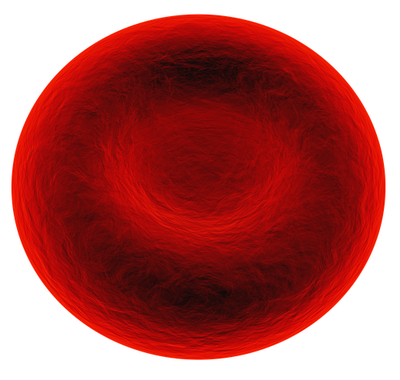 RedBloodCell.png