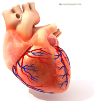 HeartPicture.png