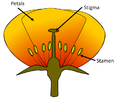 Thumbnail for version as of 14:49, 13 September 2018