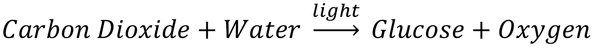 PhotosynthesisWordEquation.png