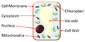 Thumbnail for version as of 18:48, 4 September 2018