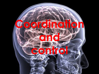 IconCoordinationandControl.png