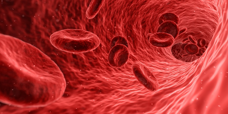 File:Blood.png