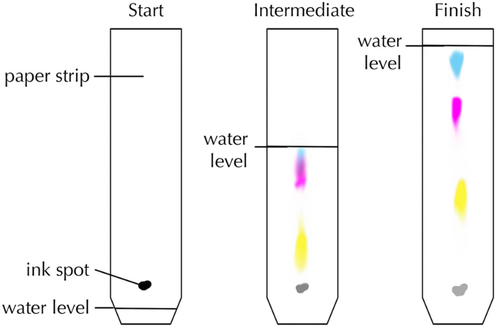 ChromatographyDiagram2.png