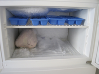 Freezer.png