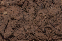 SoilClay.png