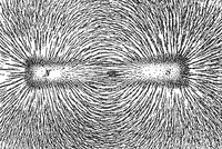 MagnetIronFilings.png