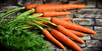 Carrot.png