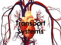 IconTransportSystems.png