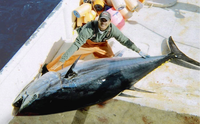 Tuna.png