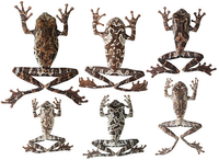 VariationFrogs.png