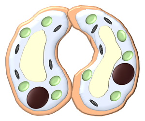 GuardCellClipart.png