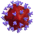Thumbnail for version as of 11:26, 6 June 2019