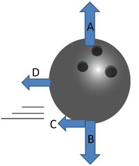 BowlingBallForces.png