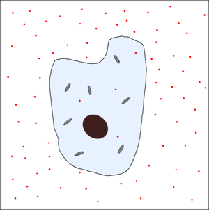 CellDiffusion1.png